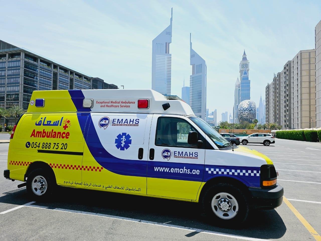 nemt transportation dubai