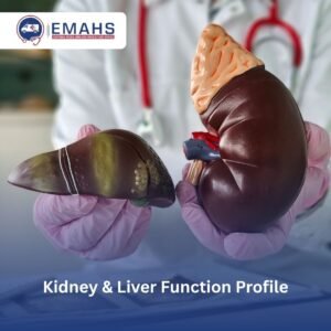 lab test at home dubai