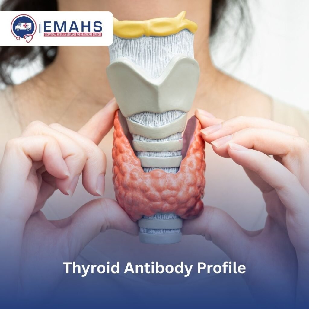 blood test home service